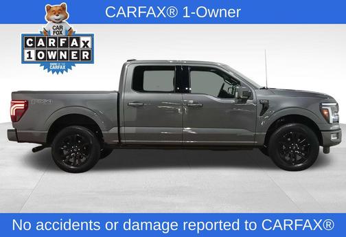 Carbonized Gray Metallic 2025 Ford F-150 Platinum