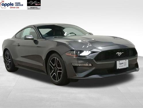 Magnetic 2019 Ford Mustang EcoBoost Premium