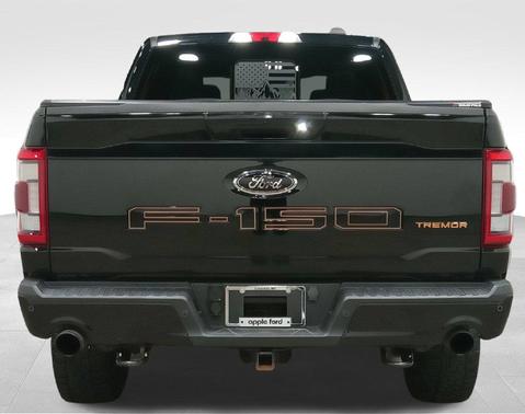 Agate Black Metallic 2021 Ford F-150 Tremor