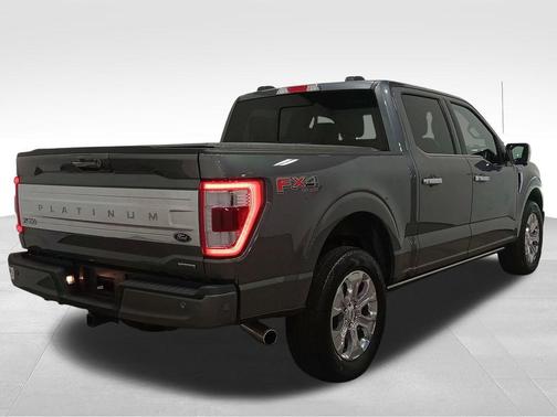 Carbonized Gray Metallic 2023 Ford F-150 Platinum