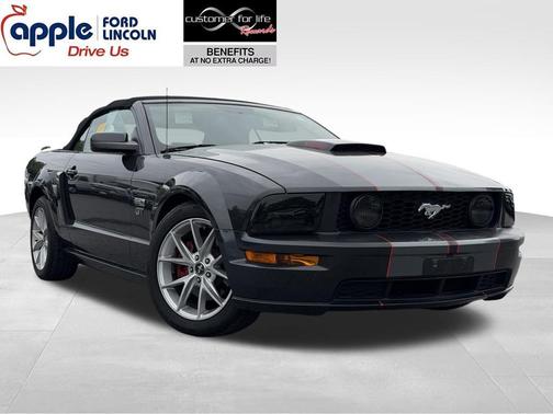 Magnetic 2008 Ford Mustang GT Deluxe