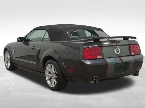 Magnetic 2008 Ford Mustang GT Deluxe