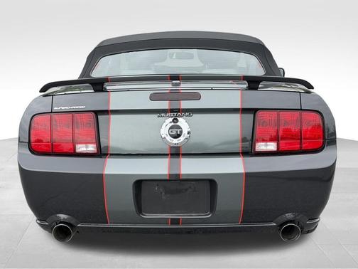 Magnetic 2008 Ford Mustang GT Deluxe
