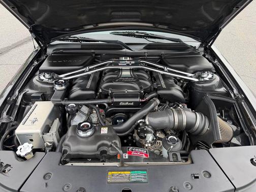 Magnetic 2008 Ford Mustang GT Deluxe