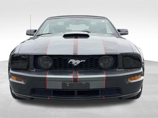 Magnetic 2008 Ford Mustang GT Deluxe