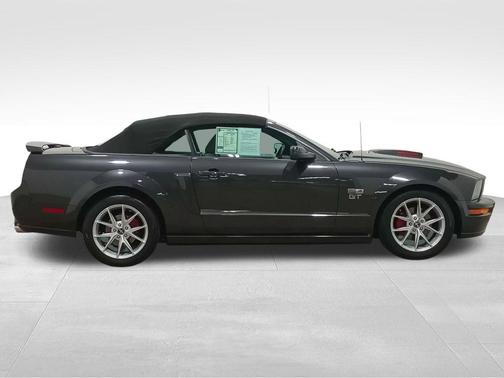 Magnetic 2008 Ford Mustang GT Deluxe