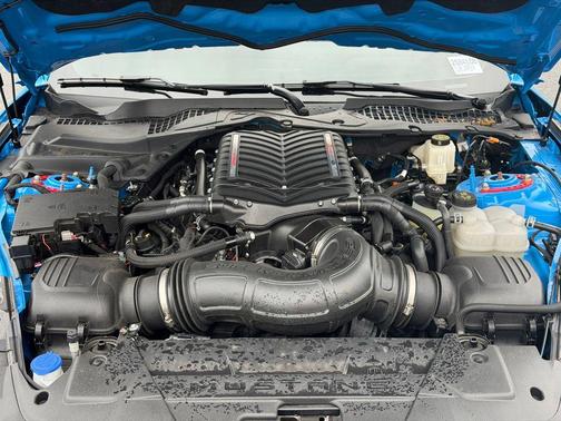 Grabber Blue Metallic 2024 Ford Mustang GT Premium