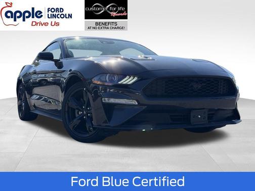 Gray Metallic 2022 Ford Mustang EcoBoost Premium