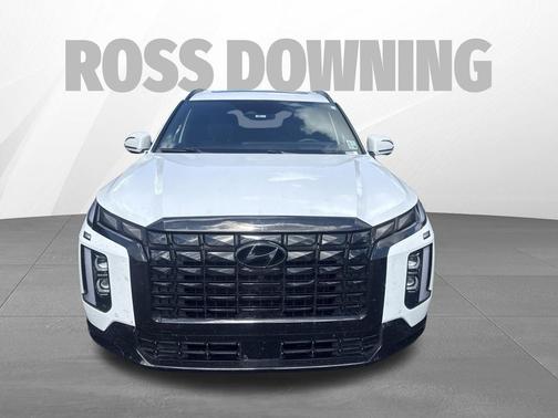 Hyper White 2025 Hyundai PALISADE Calligraphy Night Edition