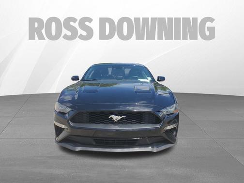 Shadow Black 2019 Ford Mustang EcoBoost Premium