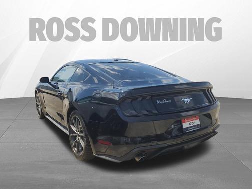 Shadow Black 2019 Ford Mustang EcoBoost Premium