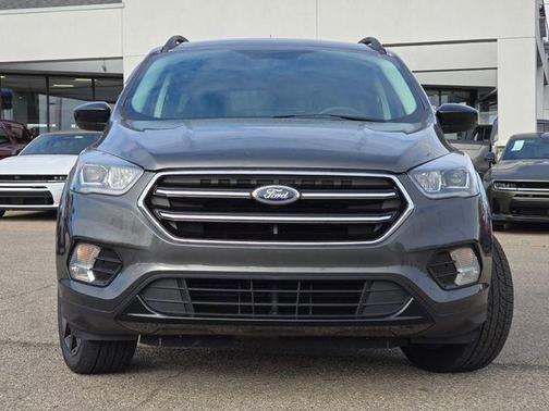 Magnetic 2019 Ford Escape SE