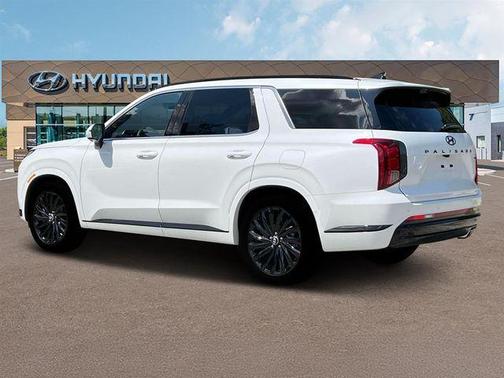 White 2025 Hyundai PALISADE Calligraphy Night Edition