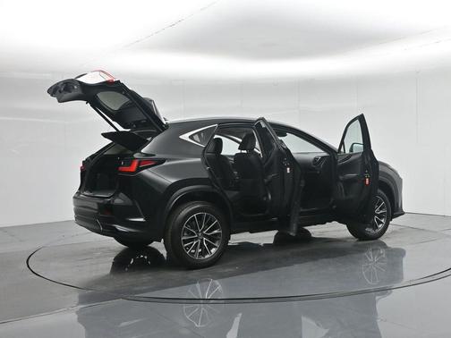 2024 Lexus NX 350h Premium