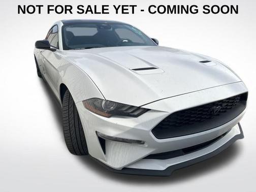 2023 Ford Mustang EcoBoost