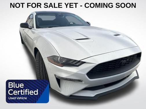 2023 Ford Mustang EcoBoost