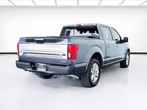 Magnetic 2019 Ford F-150 Platinum