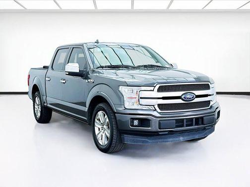 Magnetic 2019 Ford F-150 Platinum