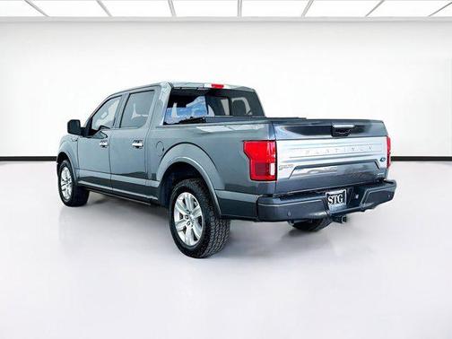 Magnetic 2019 Ford F-150 Platinum