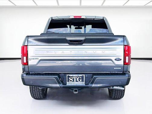 Magnetic 2019 Ford F-150 Platinum