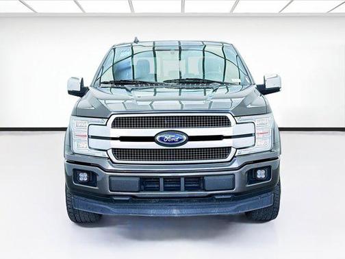 Magnetic 2019 Ford F-150 Platinum