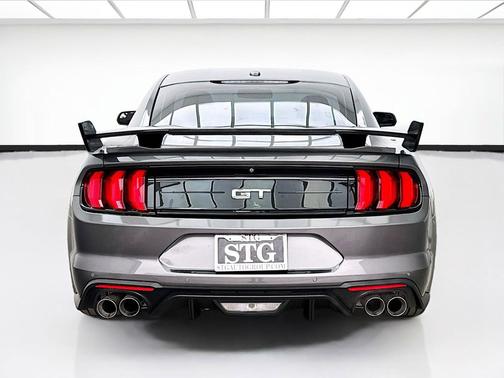 Magnetic 2019 Ford Mustang GT