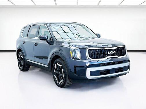 Panthera Metal 2025 Kia Telluride EX