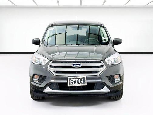 Magnetic 2019 Ford Escape SE