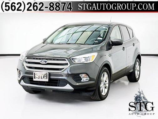 Magnetic 2019 Ford Escape SE