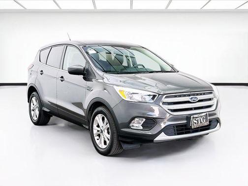 Magnetic 2019 Ford Escape SE
