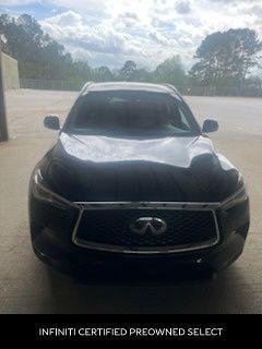 Black Obsidian 2019 INFINITI QX50 Luxe