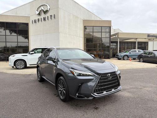 Cloudburst Gray 2025 Lexus NX 250 Premium