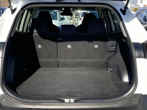 Ice Cap 2024 Toyota RAV4 LE