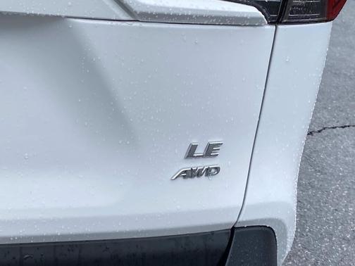 Ice Cap 2024 Toyota RAV4 LE