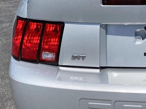 Silver Metallic 2004 Ford Mustang SVT Cobra