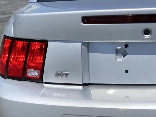 Silver Metallic 2004 Ford Mustang SVT Cobra