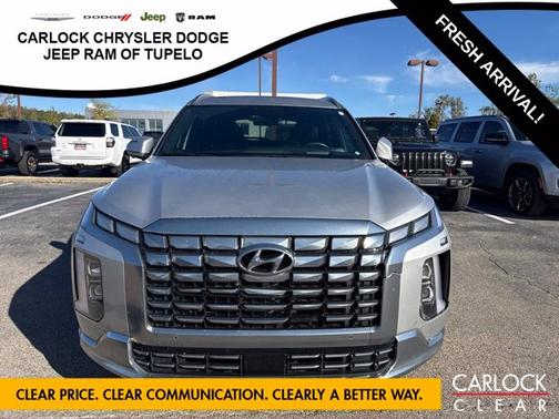 Typhoon Silver 2025 Hyundai PALISADE Calligraphy
