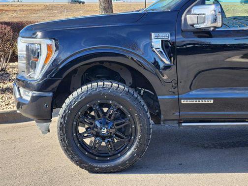 2021 Ford F-150 Platinum