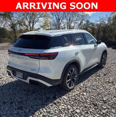 2024 INFINITI QX60 Luxe