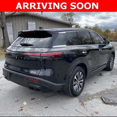 2025 INFINITI QX60 Pure