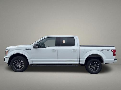 Oxford White 2019 Ford F-150 XLT
