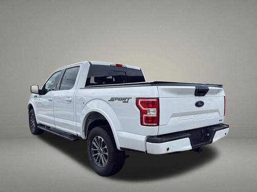 Oxford White 2019 Ford F-150 XLT
