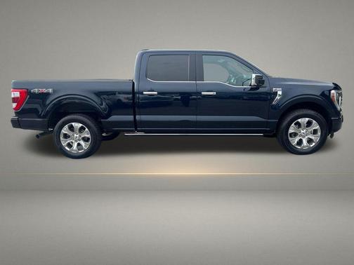 Blue Metallic 2021 Ford F-150 Platinum