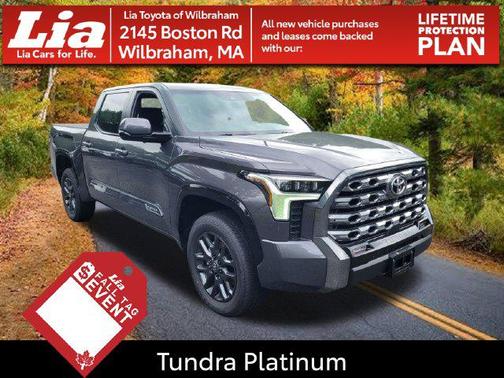 Gray 2026 Toyota Tundra Platinum