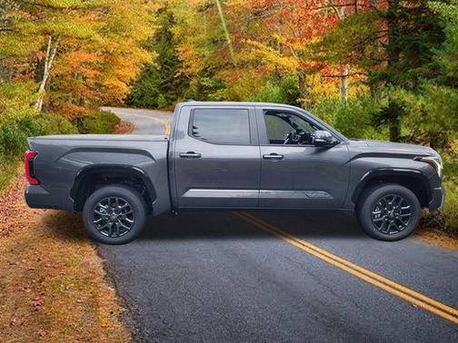 Gray 2026 Toyota Tundra Platinum