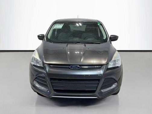 Magnetic 2015 Ford Escape SE