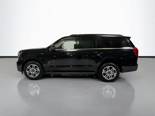 Black Metallic 2025 Ford Expedition Active