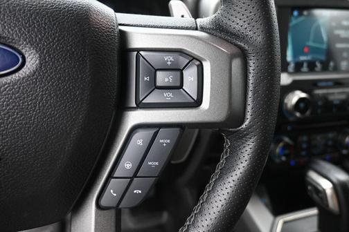 AVALANCHE 2017 Ford F-150 Raptor