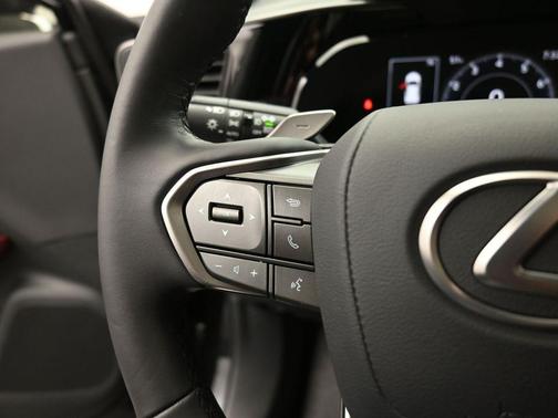 2025 Lexus NX 250 Premium