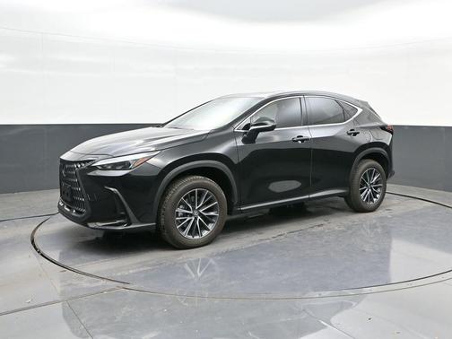 2025 Lexus NX 250 Premium